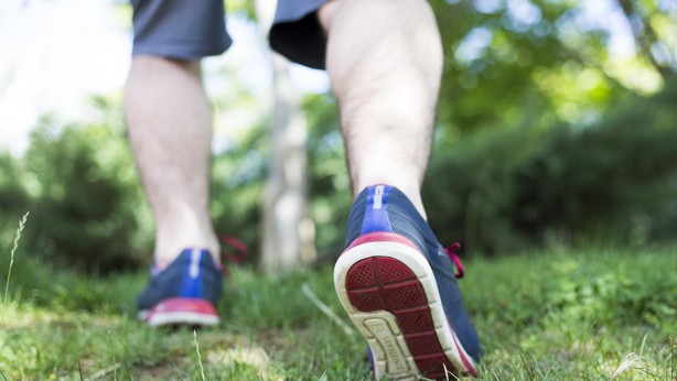 Foto - Varis oluşumunu önlemek için 5 yöntem