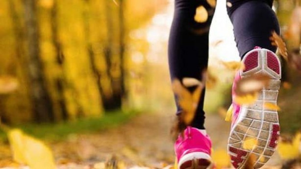 Foto - Varis oluşumunu önlemek için 5 yöntem