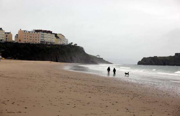 Foto - Varlığından habersiz olduğunuz hayvanlar