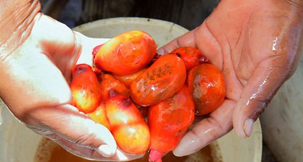 Foto - Varlığından habersiz olduğunuz hayvanlar