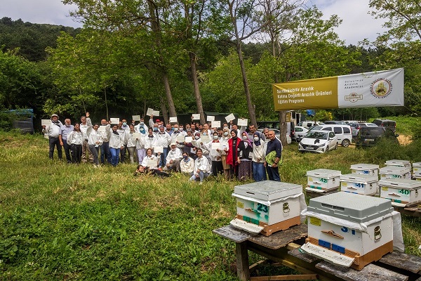 Foto - Varlıklarını sürdürmeleri insanlık için önemli! Bu hata arıların neslini tehlikeye atıyor
