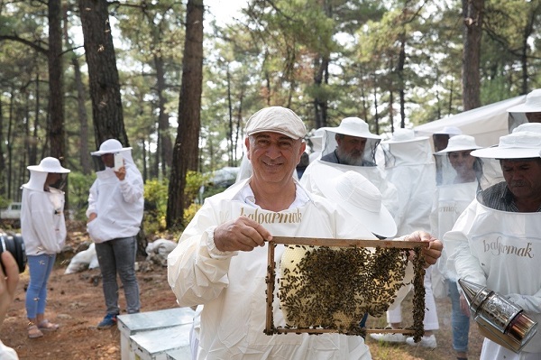 Foto - Varlıklarını sürdürmeleri insanlık için önemli! Bu hata arıların neslini tehlikeye atıyor