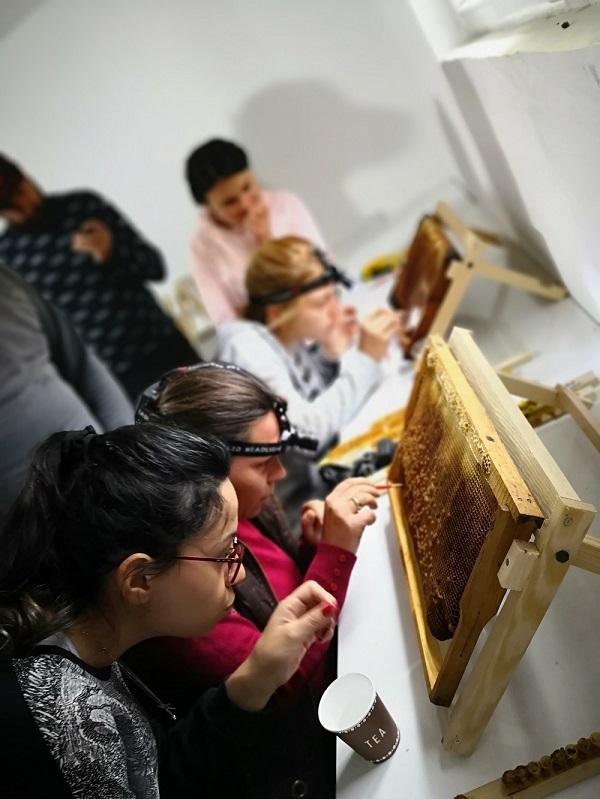 Foto - Varlıklarını sürdürmeleri insanlık için önemli! Bu hata arıların neslini tehlikeye atıyor