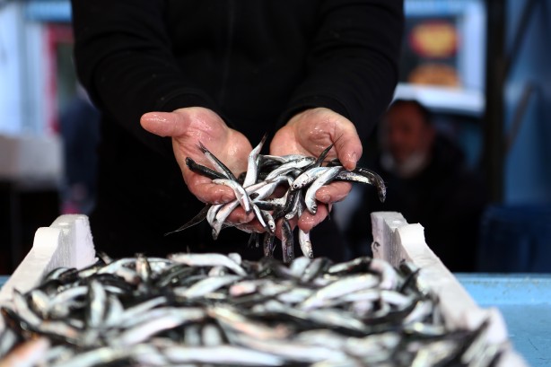 Foto - Vatandaş hamsiye doyacak! Sayılı günler kaldı