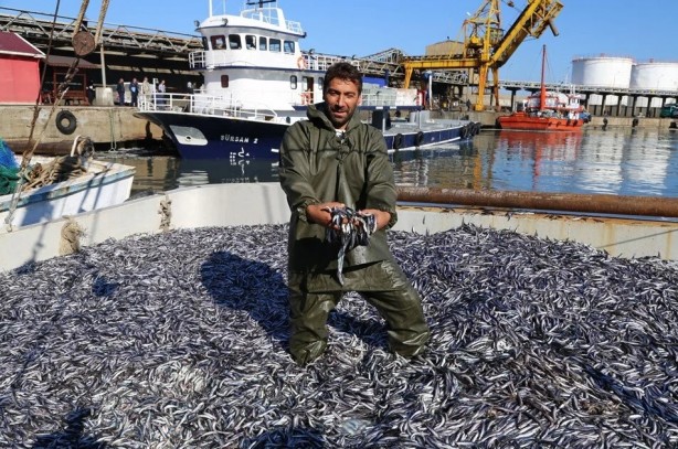 Foto - Vatandaş hamsiye doyacak! Sayılı günler kaldı