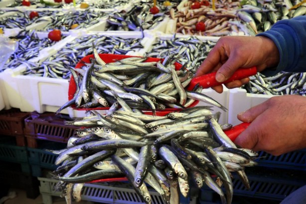 Foto - Vatandaş hamsiye doyacak! Sayılı günler kaldı