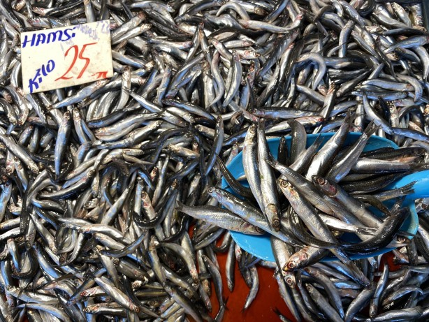 Foto - Vatandaş hamsiye doyacak! Sayılı günler kaldı