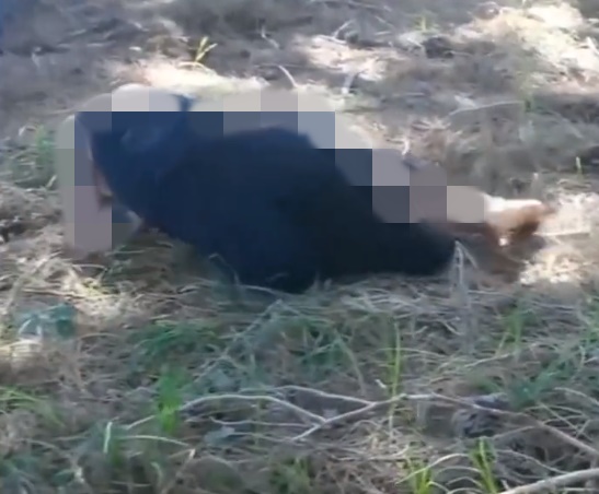 Foto - Videonun İzmir Büyükşehir Belediyesi'nin düzenlediği "Ormanda Su Arayan Kadın" temalı dans gösterisinden olduğu iddiası