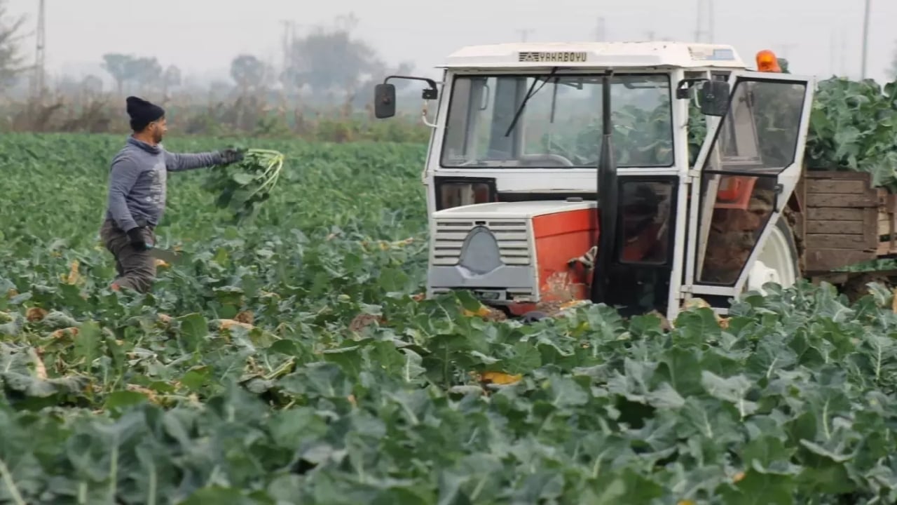 Vatandaşı kara kara düşündüren görüntü! 70 liraya kadar çıktı