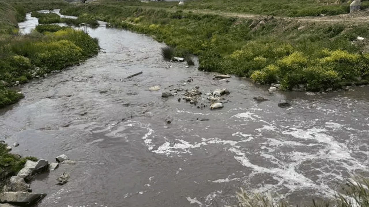 Foto - Vatandaşın sağlığını hiçe sayıyorlar: Bakanlık o tesislere cezayı kesti!