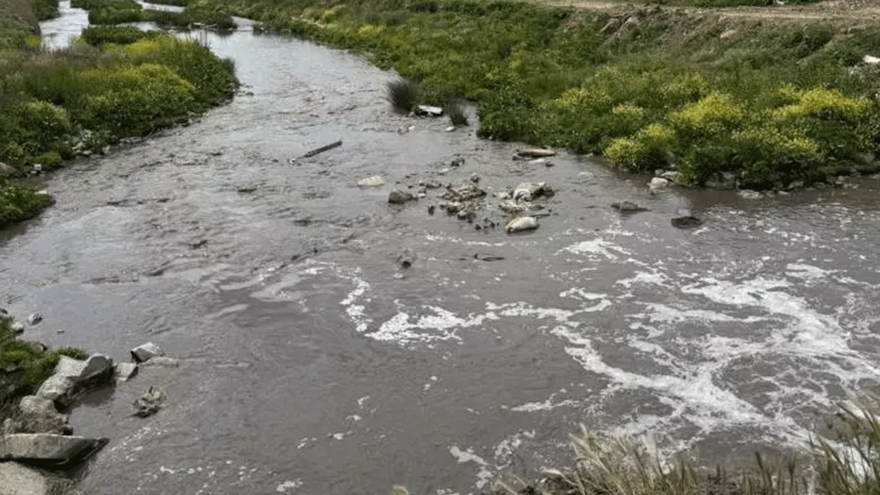Foto - Vatandaşın sağlığını hiçe sayıyorlar: Bakanlık o tesislere cezayı kesti!