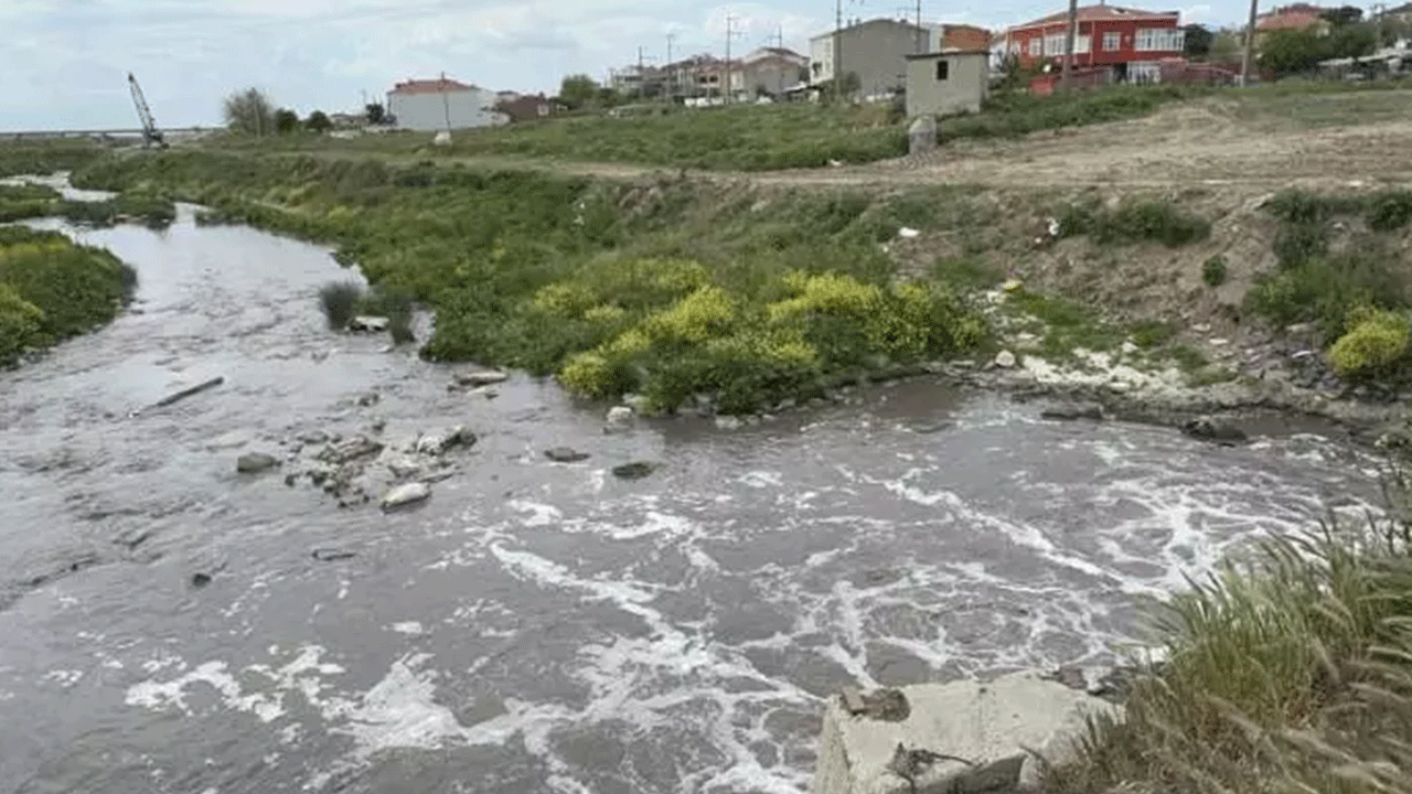 Foto - Vatandaşın sağlığını hiçe sayıyorlar: Bakanlık o tesislere cezayı kesti!