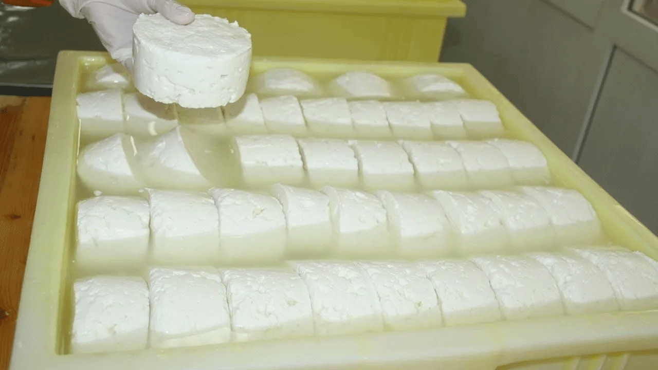 Foto - Vatandaşın sağlığıyla oynuyorlar! Üçkağıtçı peynir ve zeytinyağı markaları ortaya çıktı