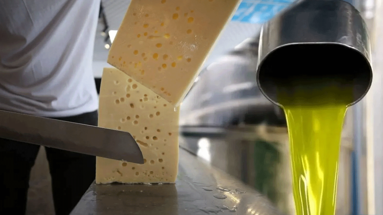 Foto - Vatandaşın sağlığıyla oynuyorlar! Üçkağıtçı peynir ve zeytinyağı markaları ortaya çıktı