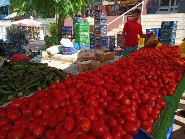 Foto - Vatandaşın ucuz domates yemesine kimin engel olduğu ortaya çıktı! Gerçekten olacak iş değil