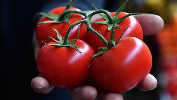 Foto - Vatandaşın ucuz domates yemesine kimin engel olduğu ortaya çıktı! Gerçekten olacak iş değil