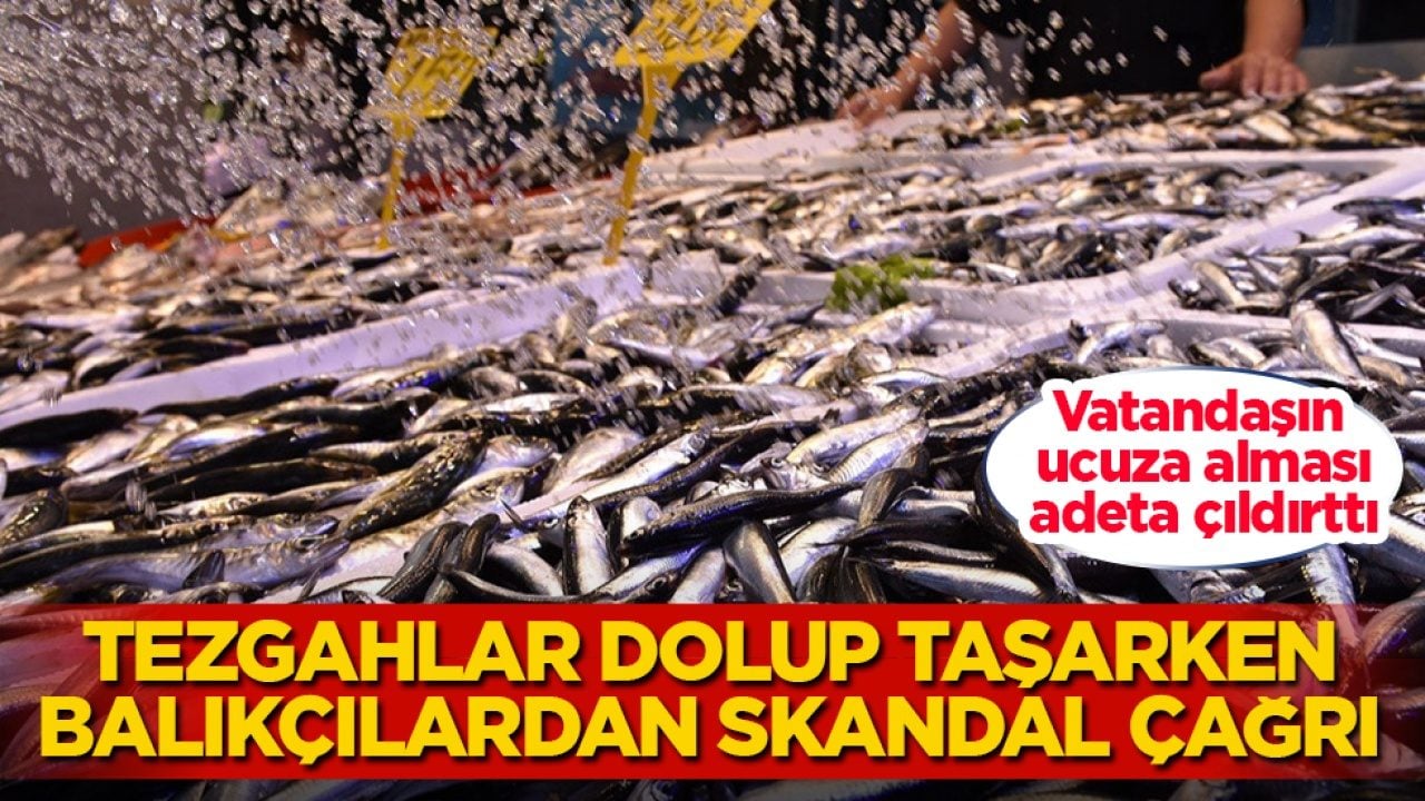 Vatandaşın ucuza alması, adeta çıldırttı! Tezgahlar dolup taşarken balıkçılardan skandal çağrı geldi