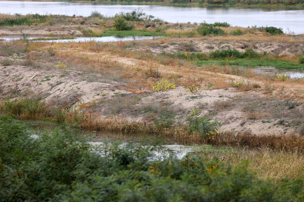 Foto - Vatandaşlar çağrı yaptı: Meriç'i temizleyin