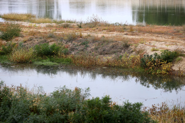Foto - Vatandaşlar çağrı yaptı: Meriç'i temizleyin