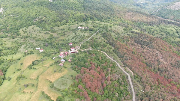Foto - Vatandaşlar canlarından bezdi! Bakın neden tarlalarını ekemiyorlar
