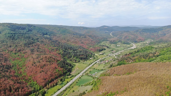Foto - Vatandaşlar canlarından bezdi! Bakın neden tarlalarını ekemiyorlar