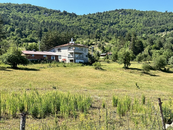 Foto - Vatandaşlar canlarından bezdi! Bakın neden tarlalarını ekemiyorlar