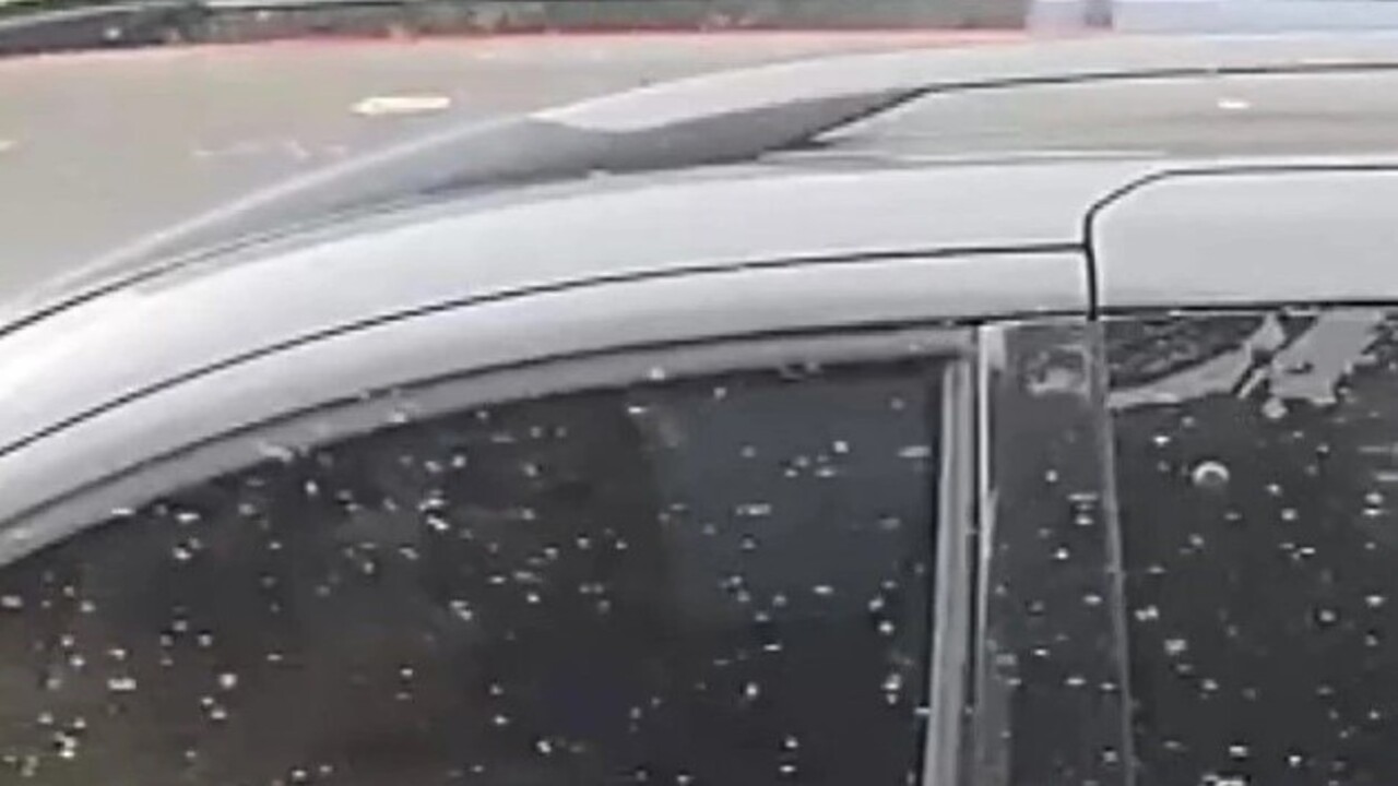 Vatandaşlar çaresiz kaldı! Resmen kenti istila ettiler