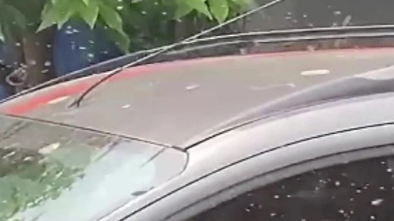 Foto - Vatandaşlar çaresiz kaldı! Resmen kenti istila ettiler