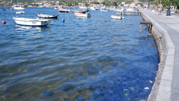 Foto - Vatandaşlar daha da tedirgin olacak! Denize kamera konulunca her şey ortaya çıktı