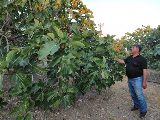 Foto - Vatandaşlar endişeli! Avrupa'ya gitmeye hazırlanırken dökülmeye başladılar