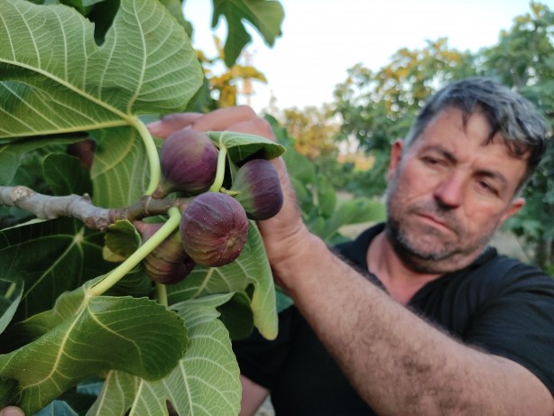 Foto - Vatandaşlar endişeli! Avrupa'ya gitmeye hazırlanırken dökülmeye başladılar