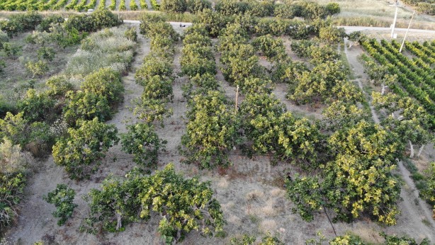 Vatandaşlar endişeli! Avrupa'ya gitmeye hazırlanırken dökülmeye başladılar