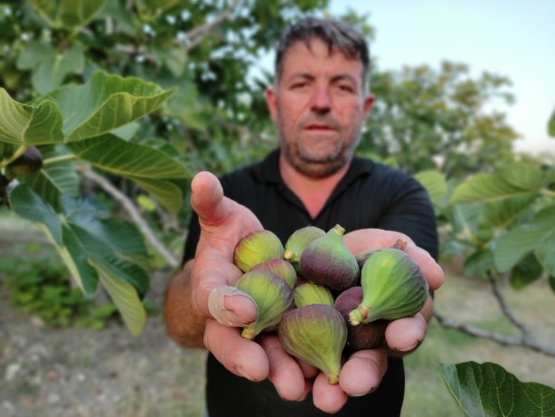 Foto - Vatandaşlar endişeli! Avrupa'ya gitmeye hazırlanırken dökülmeye başladılar