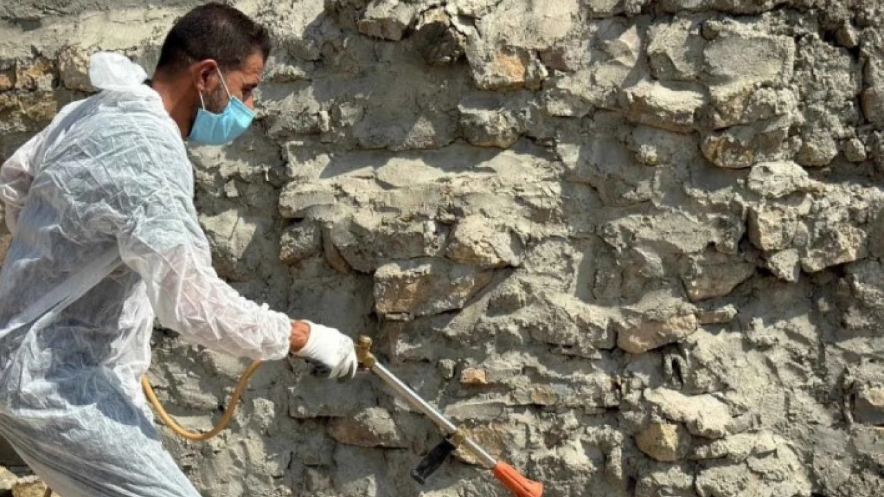 Vatandaşlar korkuya kapıldı! O ilde akrepler her yeri sardı