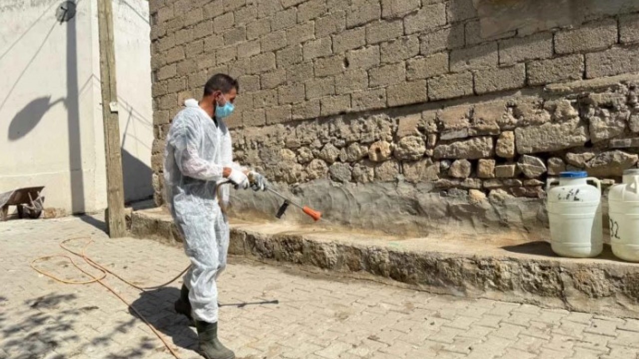 Foto - Vatandaşlar korkuya kapıldı! O ilde akrepler her yeri sardı