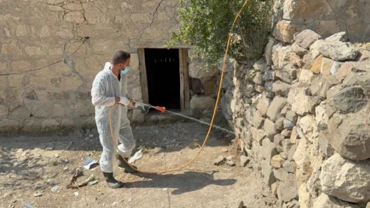 Foto - Vatandaşlar korkuya kapıldı! O ilde akrepler her yeri sardı