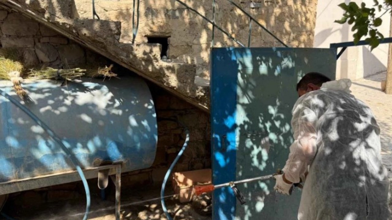 Foto - Vatandaşlar korkuya kapıldı! O ilde akrepler her yeri sardı