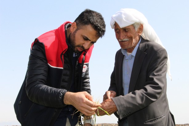 Foto - Vatandaşlar tedirgin! Bölgeyi istila ettiler kimse başa çıkamıyor