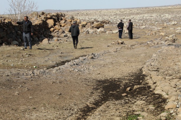 Foto - Vatandaşlar tedirgin! Bölgeyi istila ettiler kimse başa çıkamıyor