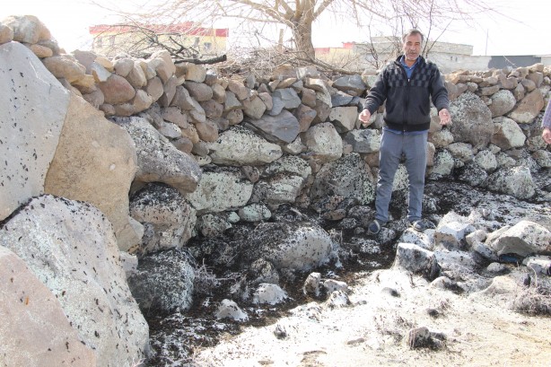 Foto - Vatandaşlar tedirgin! Bölgeyi istila ettiler kimse başa çıkamıyor