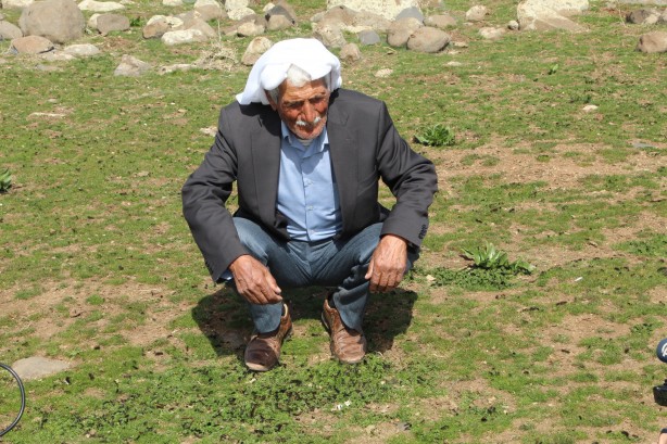 Foto - Vatandaşlar tedirgin! Bölgeyi istila ettiler kimse başa çıkamıyor