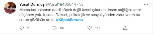 Foto - Daha binlerce mağdur var, vatandaşlardan büyük tepki! Sosyal medyada #KöpekSorunu gündem oldu