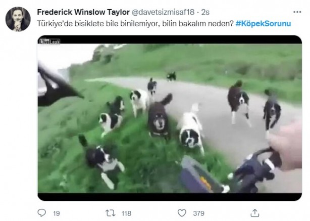 Foto - Daha binlerce mağdur var, vatandaşlardan büyük tepki! Sosyal medyada #KöpekSorunu gündem oldu