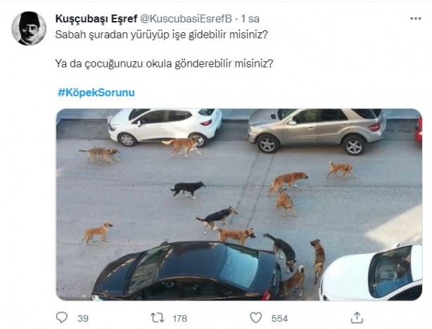 Foto - Daha binlerce mağdur var, vatandaşlardan büyük tepki! Sosyal medyada #KöpekSorunu gündem oldu
