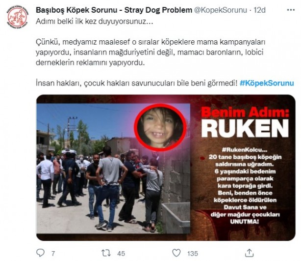Foto - Daha binlerce mağdur var, vatandaşlardan büyük tepki! Sosyal medyada #KöpekSorunu gündem oldu