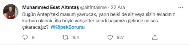 Foto - Daha binlerce mağdur var, vatandaşlardan büyük tepki! Sosyal medyada #KöpekSorunu gündem oldu