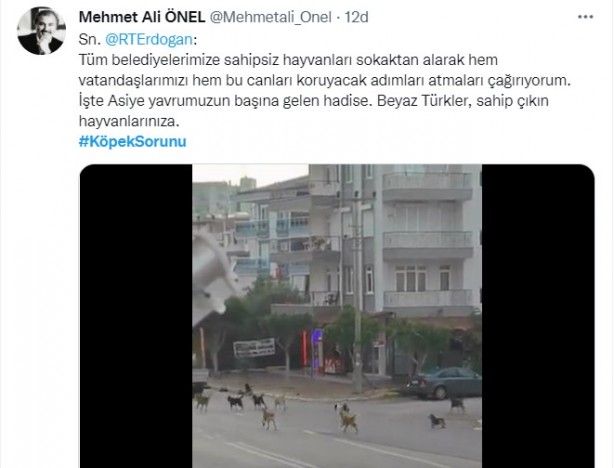 Foto - Daha binlerce mağdur var, vatandaşlardan büyük tepki! Sosyal medyada #KöpekSorunu gündem oldu