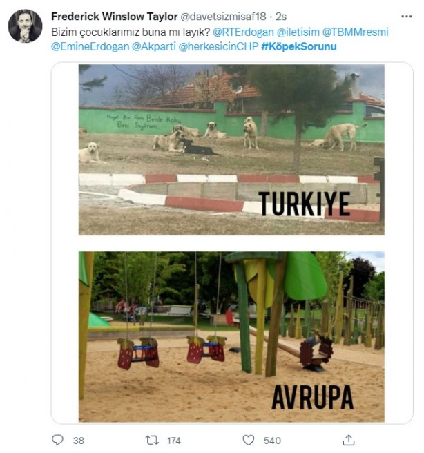 Foto - Daha binlerce mağdur var, vatandaşlardan büyük tepki! Sosyal medyada #KöpekSorunu gündem oldu