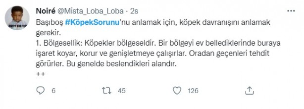 Foto - Daha binlerce mağdur var, vatandaşlardan büyük tepki! Sosyal medyada #KöpekSorunu gündem oldu