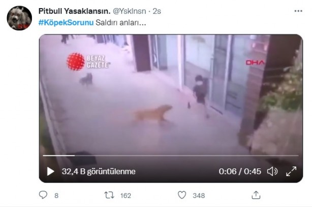 Foto - Daha binlerce mağdur var, vatandaşlardan büyük tepki! Sosyal medyada #KöpekSorunu gündem oldu